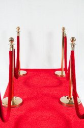 Gold Stanchions & Red Carpet